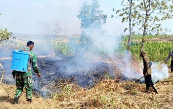 Babinsa Modo Turun Tangan, Kebakaran Lahan Medalem Lamongan Berhasil Dikendalikan