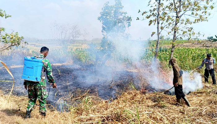Babinsa Modo Turun Tangan, Kebakaran Lahan Medalem Lamongan Berhasil Dikendalikan