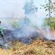 Babinsa Modo Turun Tangan, Kebakaran Lahan Medalem Lamongan Berhasil Dikendalikan