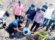 Lahan Bekas Terbakar, Kerangka Manusia Ditemukan di Hutan Lamongan