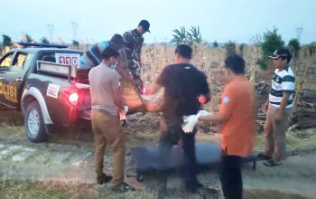 Warga Lamongan Ditemukan Tak Bernyawa di Sawah dan Kawasan Hutan