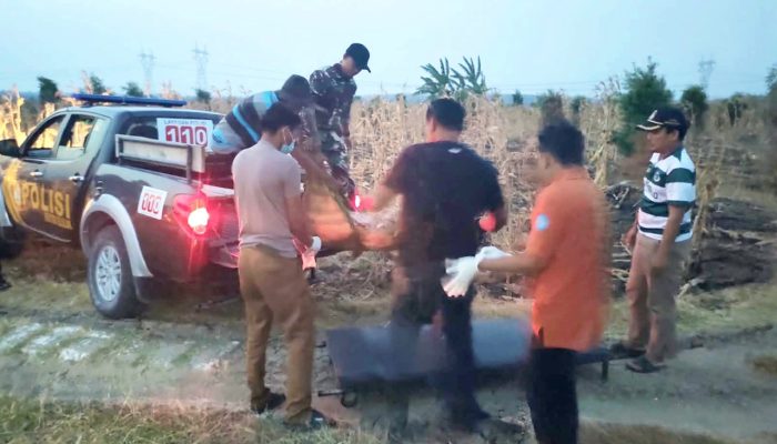 Warga Lamongan Ditemukan Tak Bernyawa di Sawah dan Kawasan Hutan