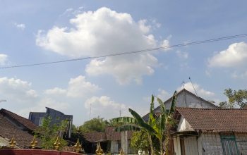 IMG 20260929 WA0015