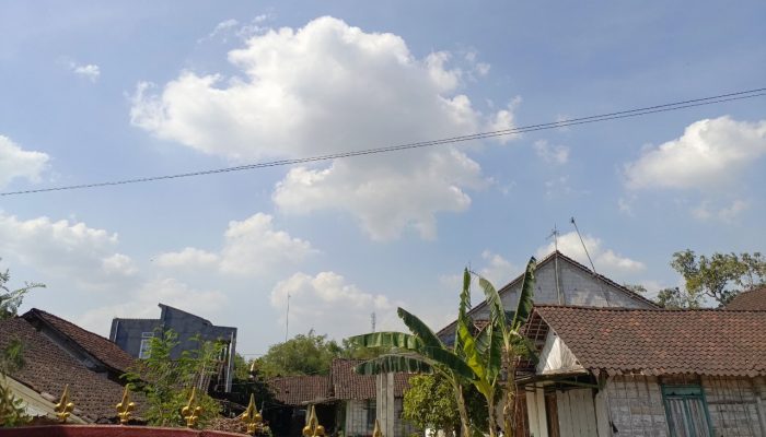 Bojonegoro Cerah Seharian, Suhu Siang Capai 32 Derajat