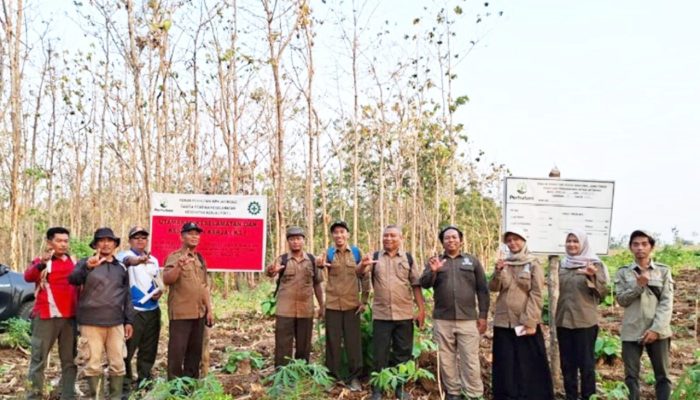 Pastikan Hutan Tuban Tetap Lestari, Perhutani Jatirogo Gelar Monev