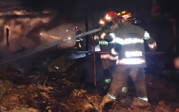 Api dari Kandang Sapi Merambat, 3 Rumah di Dander Bojonegoro Terbakar