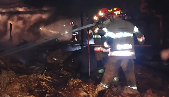 Api dari Kandang Sapi Merambat, 3 Rumah di Dander Bojonegoro Terbakar