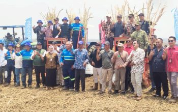 Tebu Laren Lamongan Diremajakan, TNI Polri Ikut Turun Tangan