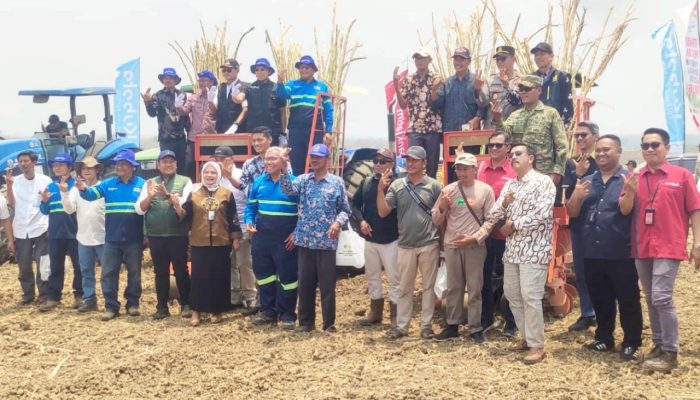 Tebu Laren Lamongan Diremajakan, TNI Polri Ikut Turun Tangan