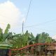 IMG 20261008 WA0015