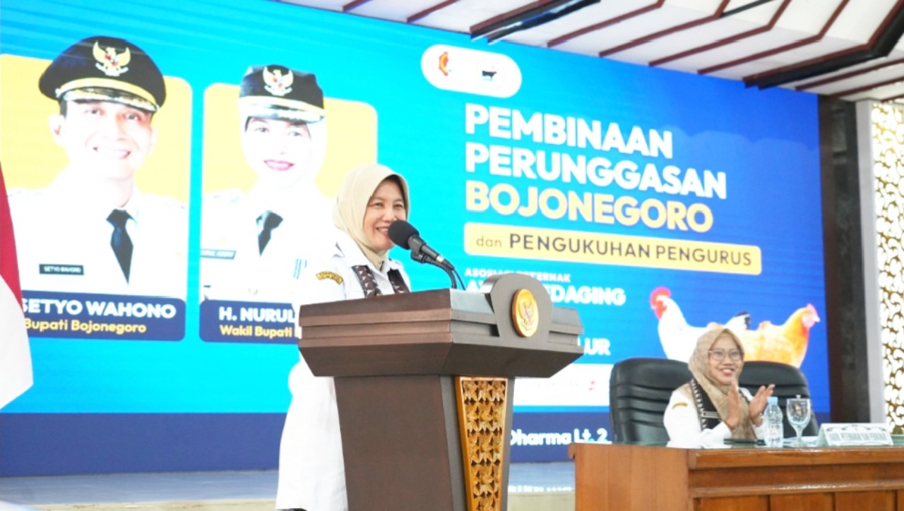 IMG 20261008 WA0024