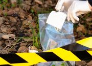 Bareskrim Gerebek 9 Lokasi Narkoba di Sumut, 36 Orang Diamankan