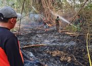 Gerak Cepat Babinsa dan Damkar, Kebakaran Lahan di Lamongan Berhasil Dikendalikan