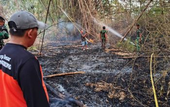 Gerak Cepat Babinsa dan Damkar, Kebakaran Lahan di Lamongan Berhasil Dikendalikan