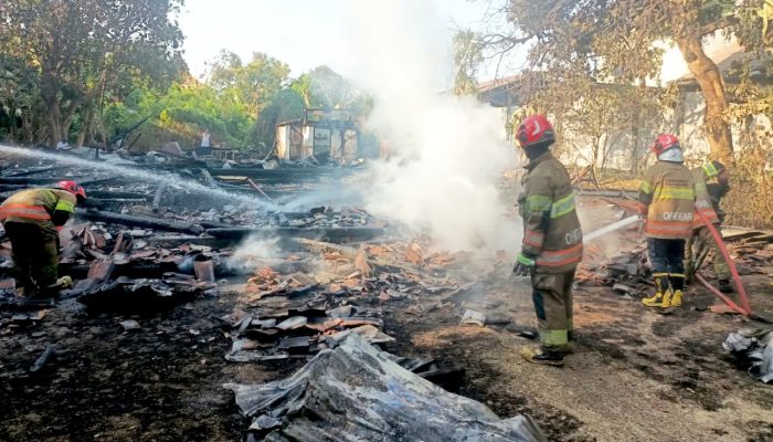 Kebakaran di Banjarejo Bojonegoro, Damkar Selamatkan Aset Rp6 Miliar