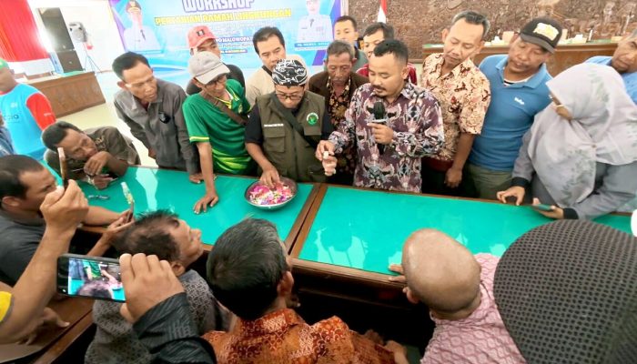 Bojonegoro Kembangkan Padi Gamagora dan Bacillus, Ini Tujuannya