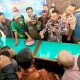 Bojonegoro Kembangkan Padi Gamagora dan Bacillus, Ini Tujuannya