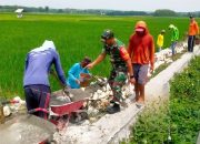 Babinsa Koramil Bluluk Lamongan Gandeng Warga, Infrastruktur Pertanian Diperkuat