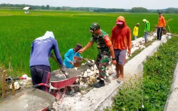 Babinsa Koramil Bluluk Lamongan Gandeng Warga, Infrastruktur Pertanian Diperkuat