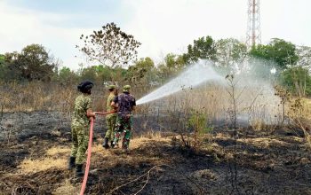Aksi Sigap Yonif 885 dan Damkar Bojonegoro Padamkan Kebakaran Lahan