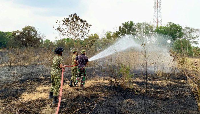 Aksi Sigap Yonif 885 dan Damkar Bojonegoro Padamkan Kebakaran Lahan