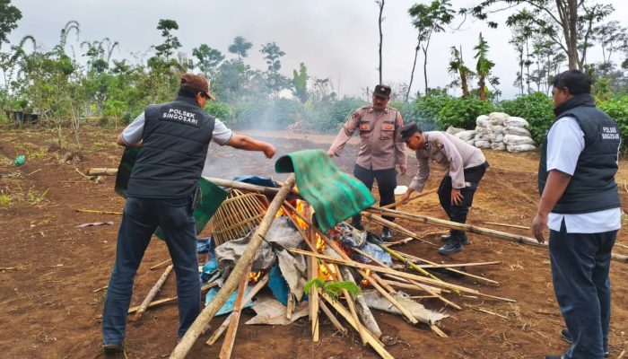 Aduan Warga Ditindaklanjuti, Polisi Bongkar Sarana Judi Sabung Ayam di Malang